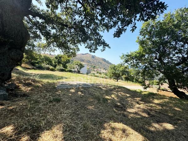 Propriete à vendre 6 pièces SANTA REPARATA DI BALAGNA (20)