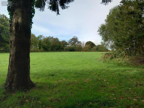 Maison à vendre à Domfront-en-Poiraie dans l'Orne (61700), ref : 61049-1043