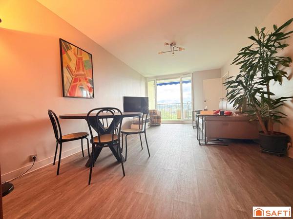 Appartement lumineux avec vue exceptionnelle sur le Cher et la ville de  Tours