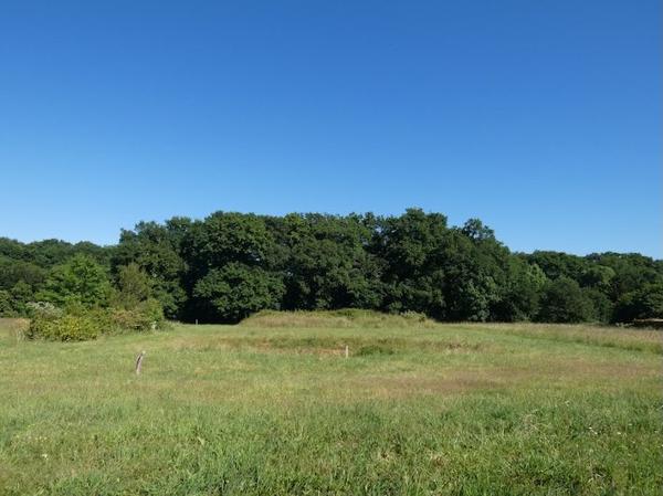 À vendre - Maison individuelle, 6 pièces située à Hagetmau (40700)