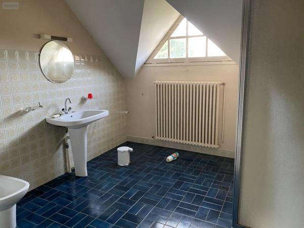 Achat - Maison Chaunay 86510 5 pièces 230 m 2 4316 m 2