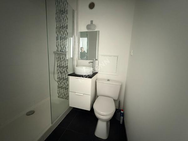 Appartement T2 Villeurbanne GRATTE-CIEL 69100, triplex, vue dégagée, balcon