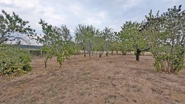 Vente                                                      Maison de village
                        
                     7 pièces                      168 m2                     à La Roche-en-Brenil