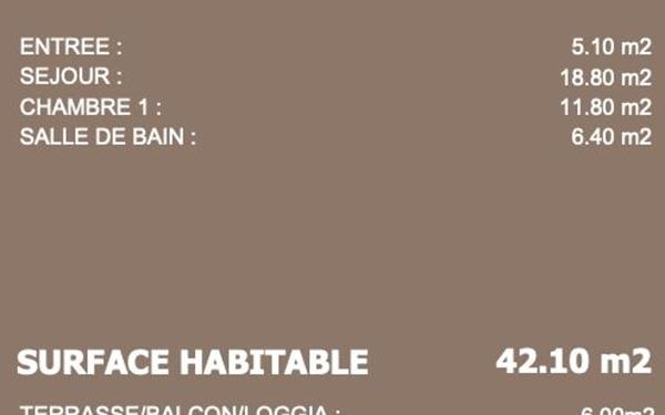 Appartement à vendre    2 pièces • 42,10 m2 Neuville-sur-Saône