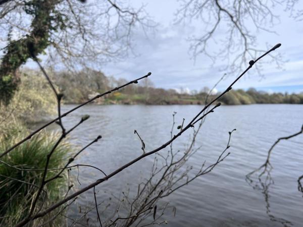 Maison à vendre à Theix-Noyalo dans le Morbihan (56450), ref : 56004-736