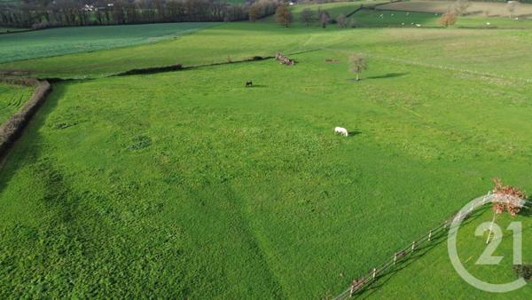 Maison à vendre  6 pièces - 178,94 m2 CERCY LA TOUR - 58