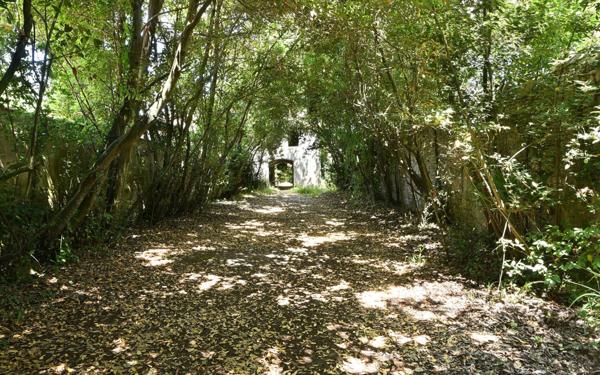 Maison à vendre    13 pièces •  Saint-Martin-de-Ré