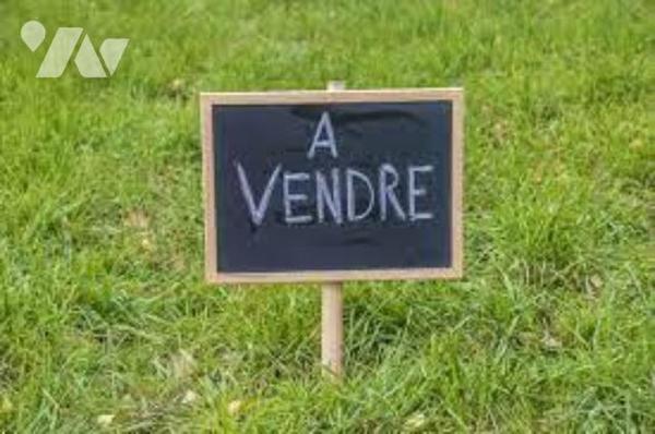 Bonnes, Ensemble de 2 parcelles de bois pour un total de 4 hectares.