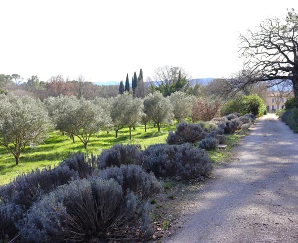 Vente Bastide Lorgues 20 Pièces 600 m²