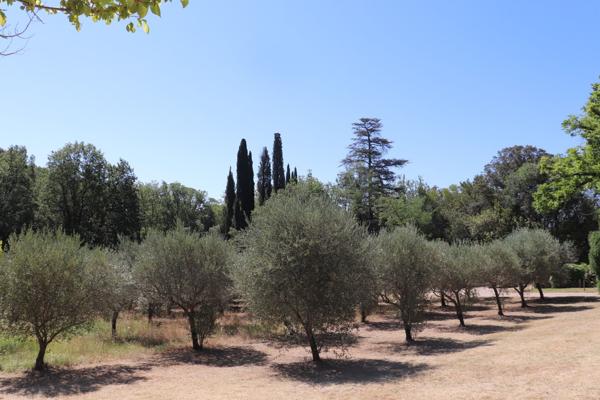 Vente Bastide Lorgues 20 Pièces 600 m²