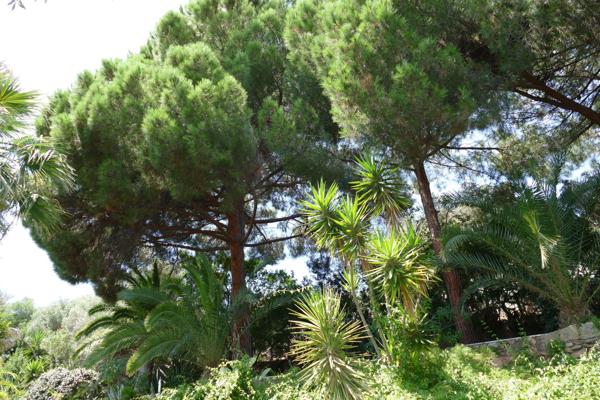 Vente Villa de luxe Ajaccio 7 Pièces 270 m²