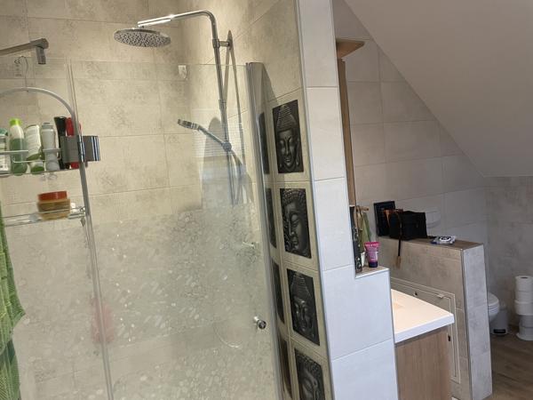 Maison familiale avec annexe chalet indépendant et piscine au calme