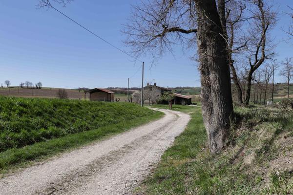 Propriété au calme, proche Puylaurens, avec grands volumes et potentiel