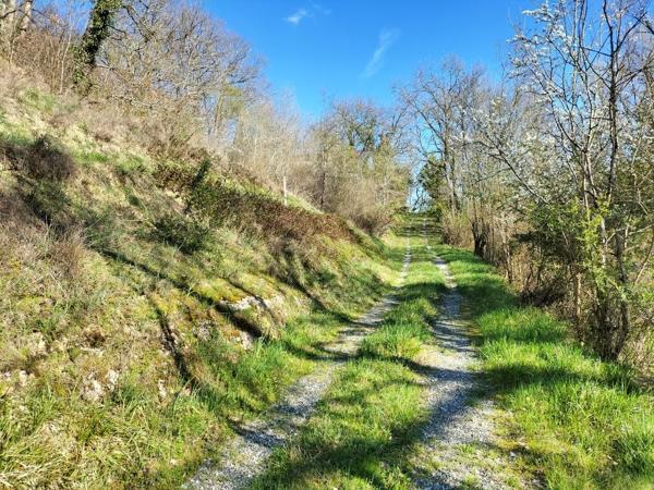 À vendre - Maison de campagne, 3 pièces situé à Vic-Fezensac (32190)