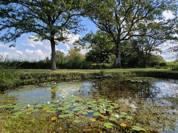 Ainay-le-Château – Propriété spacieuse avec potentiel locatif et chalet sur un terrain de 5760 m² Ainay-le-Château (03360)