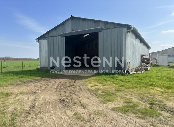 Bâtiment 300 m², sur 1200 m² terrain, idéal stockage.