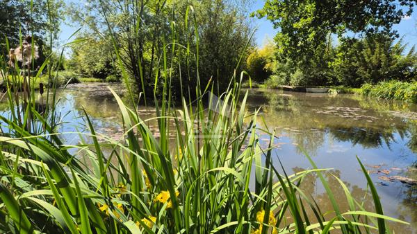 Maison Grisy Suisnes 6 pièce(s) 190 m2