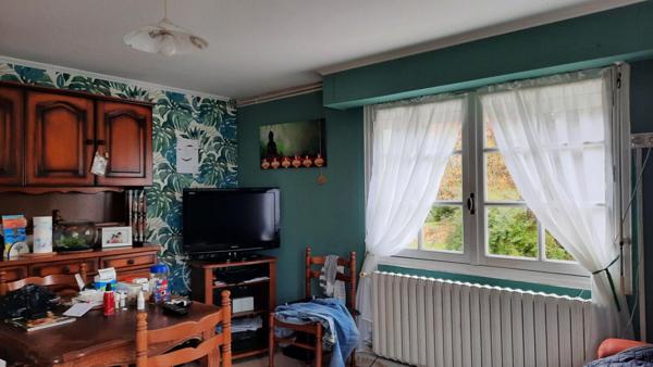 maison d'habitation + investissement locatif ou regroupement familial