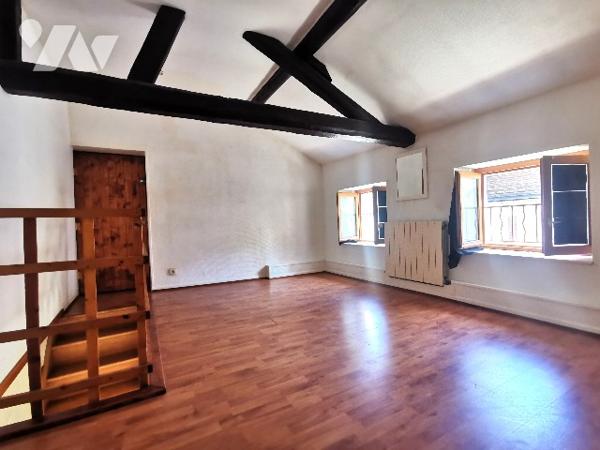 A visiter sans tarder, belle maison avec beaucoup de charme en plein cœur de Saint Jean de Losne.