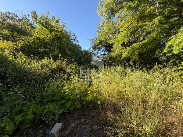 Propriété Carcassonne 3 pièce(s) 61 m2