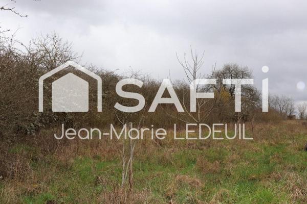 Terrain de loisir, verger.