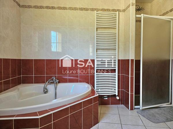 Maison avec piscine et grand terrain