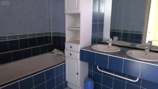 Local mixte (Pro/Hab) à vendre à Châtellerault dans la Vienne (86100), ref : 86024-IMMR2209   
Centre-ville