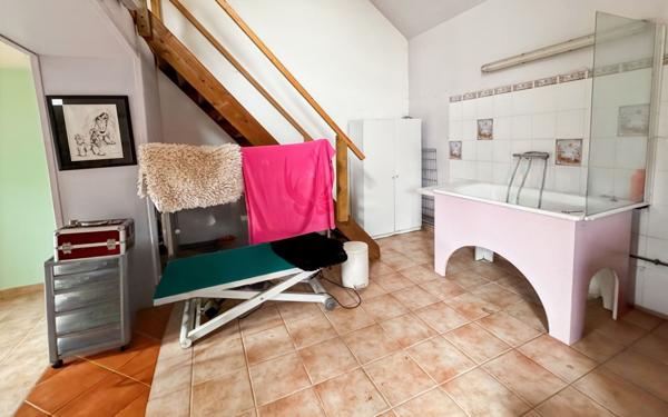 Maison à vendre    6 pièces • 252,59 m2 Châteaubriant