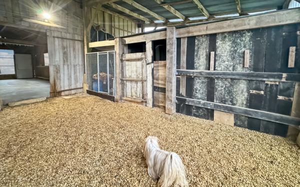 Maison à vendre    6 pièces • 252,59 m2 Châteaubriant