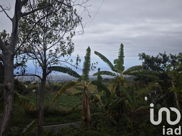 Terrain à vendre 919 m² Le Tampon