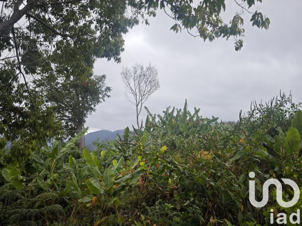 Terrain à vendre 919 m² Le Tampon