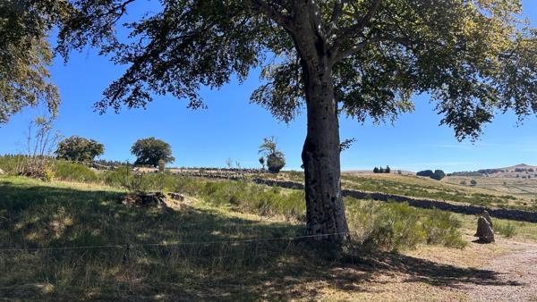 Domaine d'exception +500 m² sur 1,7 ha, Vue panoramique Aubrac, Idéal Gîte ou Grande Demeure Laguiole