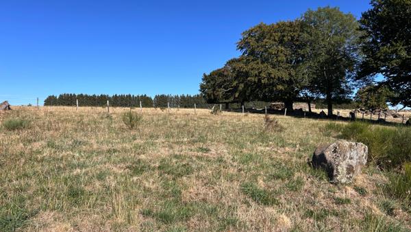 Domaine d'exception +500 m² sur 1,7 ha, Vue panoramique Aubrac, Idéal Gîte ou Grande Demeure Laguiole