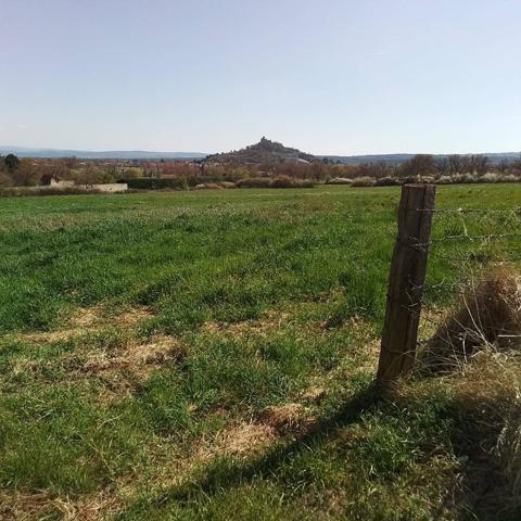 Agréable Fermette de 97 m² avec grange et dépendances sur 6 hectares 7