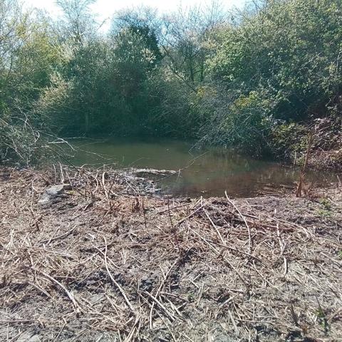 Agréable Fermette de 97 m² avec grange et dépendances sur 6 hectares 7