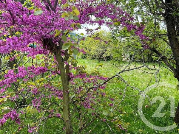 Terrain à vendre  300 m2 BONS EN CHABLAIS - 74