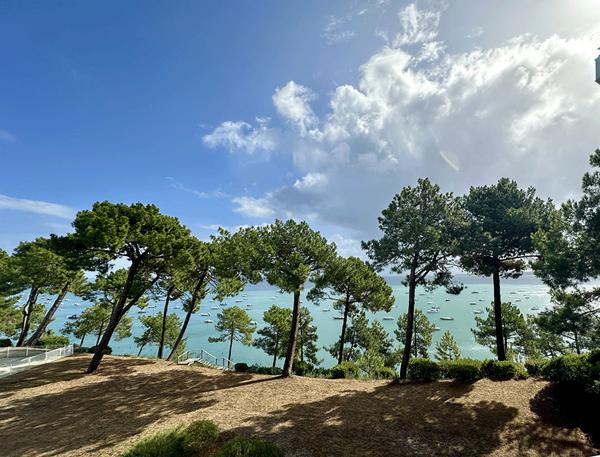 Cap Ferret en 1ère ligne, superbe appartement d’architecte en prise directe avec le bassin