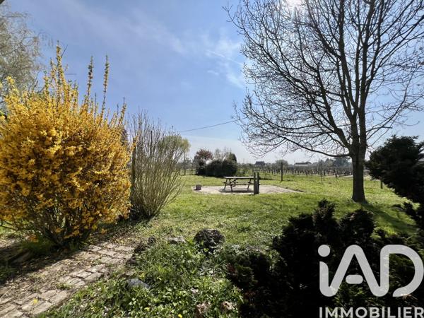 Maison à vendre 6 pièces 186,38 m² Bourgueil