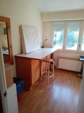 Grande maison a Sainte Genevieve des Bois