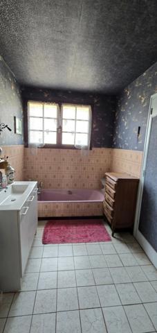 Maison à vendre 4 pièces LE PALAIS SUR VIENNE (87)