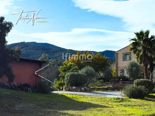 Mas Catalan de 260 m2 - 1ha de terrain - Argelès sur Mer