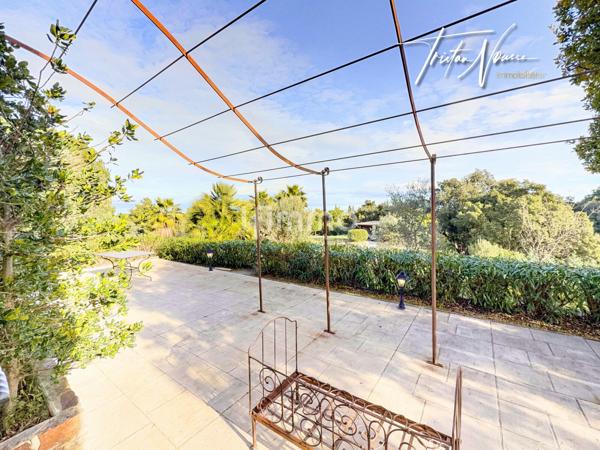 Mas Catalan de 260 m2 - 1ha de terrain - Argelès sur Mer