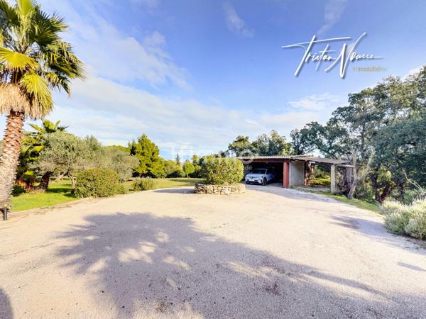 Mas Catalan de 260 m2 - 1ha de terrain - Argelès sur Mer