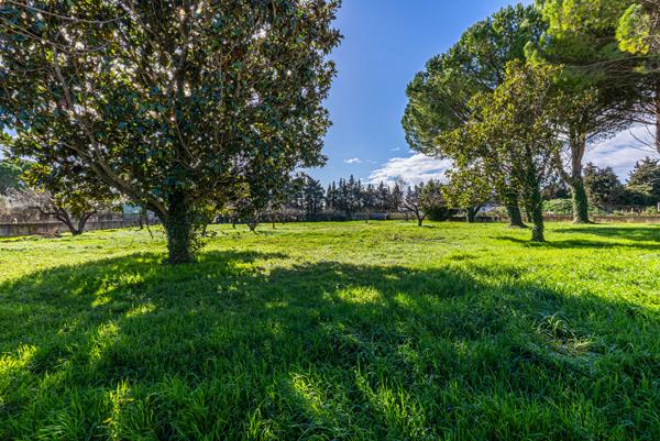 Spacieuse maison à vendre à Sarrians avec piscine et terrain de 5200 m²
