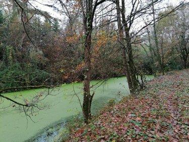 Terrain de loisirs - Bois - Etang à vendre à La Celle-Saint-Avant dans l'Indre-et-Loire (37160), ref : 37082-272