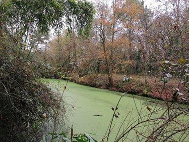 Terrain de loisirs - Bois - Etang à vendre à La Celle-Saint-Avant dans l'Indre-et-Loire (37160), ref : 37082-272