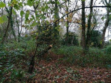Terrain de loisirs - Bois - Etang à vendre à La Celle-Saint-Avant dans l'Indre-et-Loire (37160), ref : 37082-272