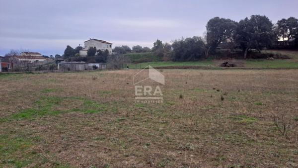 Terrain Vescovato à viabiliser 1969 m2