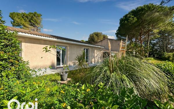 Maison à vendre    5 pièces •  Cournonterral