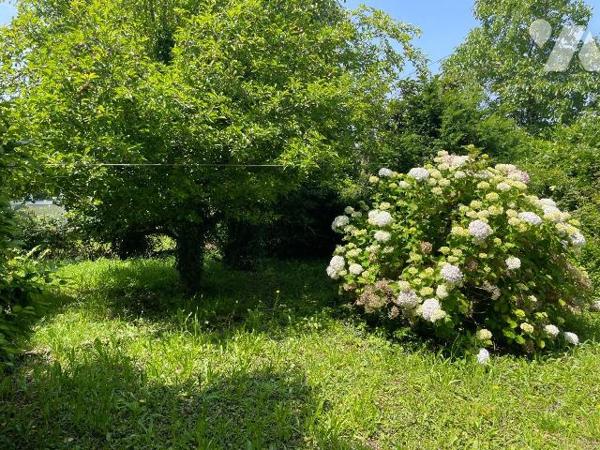 Maison à vendre à RIEC SUR BELON, dans le Finistère 

A 1,3 km d'une école primaire, à1,1 km ...